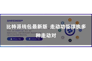 比特派钱包最新版  走动功能撑执多种走动对